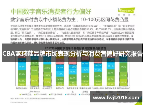 CBA篮球鞋品牌市场表现分析与消费者偏好研究报告