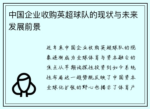 中国企业收购英超球队的现状与未来发展前景