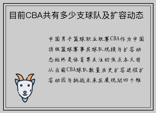 目前CBA共有多少支球队及扩容动态