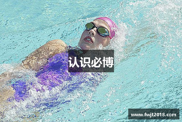 认识必博